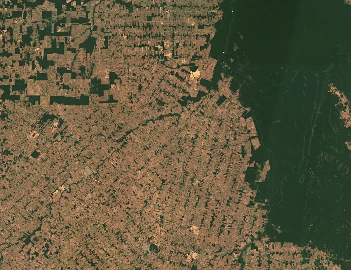 Rondonia, Brazil from satellite imagery