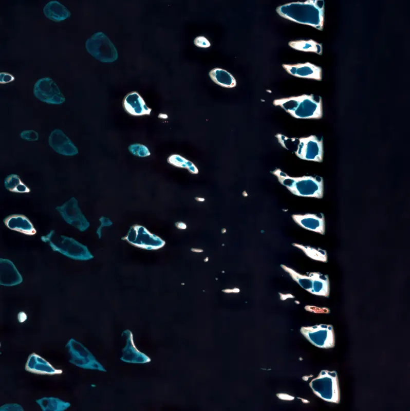 Ari Atoll, Maldives from satellite imagery